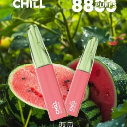 【CHILL 鴨嘴獸】8800口潮流拋棄式 絲滑3%尼古丁鹽滿足感 澎湃 12W 動能輸出 卓越 550mAh 續航表現 豐富熱銷口味 台灣現貨秒發